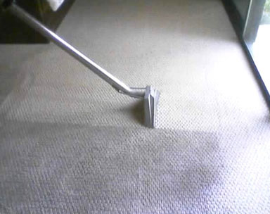 Limpeza de Carpetes